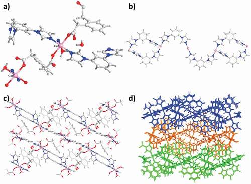 Figure 1. (a) The 1’s asymmetry unit. (b) The one-dimensional loop of [Co2(mbib)2] in complex 1. (c) The 1’s two-dimensional layered net. (d) The three-dimensional packing diagram of the complex 1.