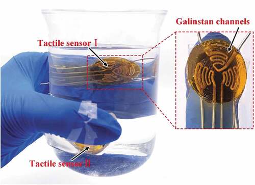 Figure 4. Photograph of the tactile sensors worn on fingertips for force and temperature sensing when grasp a beaker of water