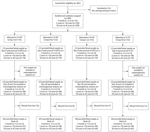 Figure 1. CONSORT flow diagram showing the number of patients who were screened, randomized into the treatment groups, completed the study, and included in the analysis.