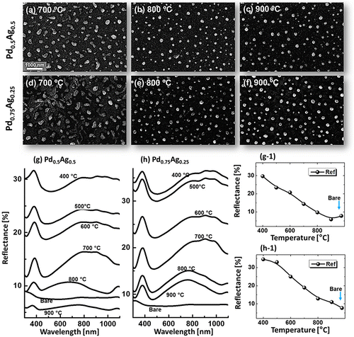 Figure 5. SEM images of Pd-Ag alloy NPs fabricated between 700 and 900 °C with the compositions Pd0.5Ag0.5 in (a)–(c) and Pd0.75Ag0.25 in (d)–(f). (g)–(h) Reflectance spectra of the alloy NPs with distinct composition as labeled. (g-1)–(h-1) Average reflectance of corresponding sets in (g) and (h) with respect to the temperature.