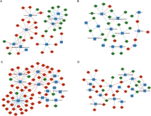 Figure 3. Differentially expressed genes-differential metabolites network in (A) NS vs NW, (B) TW vs TS, (C) TW vs NW, and (D) NS vs TS TW, tobacco group subjected to topping treatment only; TS, tobacco group treated by topping and 0.6 mM SA; NS, tobacco group only receiving 0.6 mM SA; NW, control group. The red circle represents the up-regulated protein, the green circle represents the down-regulated protein, the blue square represents the metabolite, the red line represents the positive correlation, and the green line represents the negative correlation.