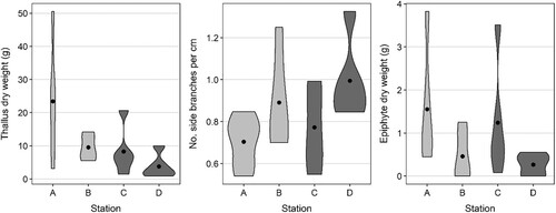 Figure 2. Violin plots showing thallus characteristics of Sargassum muticum (n = 5), including (left) thallus dry weight (g), (centre) no. of side branches per cm and (right) epiphyte dry weight (g), at stations A–D. The shapes show data spread, while the black point shows the mean for each station. Type of site shown by shading (sound = light grey, sheltered bay = dark grey).