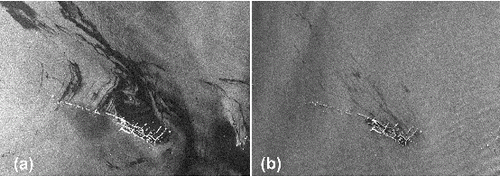 Figure 3. (a) Identified and (b) non-identified oil patterns on the ENVISAT ASAR Wide Swath Medium Resolution images.