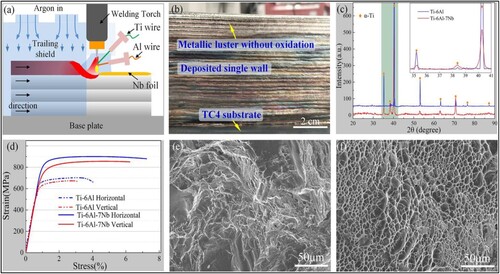 Figure 21. The characteristics of the deposited alloys produced through the in-situ alloying assisted T-WAAM method are as follows: (a) a schematic representation of the T-WAAM process combined with the in-situ alloying technique; (b) a photograph showing a single wall of the Ti-6Al-7Nb alloy; (c) X-ray diffraction patterns; (d) stress-strain curves illustrating different directions; and (e) typical fracture morphologies observed in the Ti-6Al and (f) Ti-6Al-7Nb alloys [Citation48].