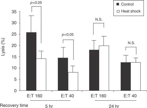 Figure 1. Heat shock temporarily suppresses cytotoxicity of human NK cells in vitro. PBMC obtained from healthy donors were heat shock treated at 42°C for 1 h or maintained at 37°C (control). Five or twenty-four hours after heat shock, the heat-shocked and control PBMC were each co-cultured with EGFP-transduced K562 cells at 37°C for 4 h followed by 15 min incubation with PI to assess for the cytolytic activity of PBMC. Effector : Target (E:T) ratios were 160 : 1 and 40 : 1. After the incubation, the percentages of PI+ cells (dead cells) within EGFP+ cells were analyzed with flow cytometry, and cytotoxicity was calculated as described in the Section, ‘Methods’. Percentage means of specific lysis ± S.E. from three donors are displayed. P was assessed by paired t-test. N.S. = not significant.