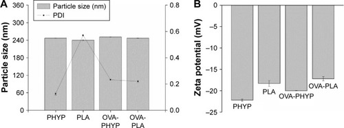 Figure 1 Comparison of particle size, PDI (A) and zeta potential (B) of OVA-loaded nanospheres.Abbreviations: OVA, ovalbumin; OVA-PHYP, OVA-loaded PHYP; OVA-PLA, OVA-encapsulated PLA; PHY, pachyman; PHYP, PHY-encapsulated PLA; PLA, poly(D,L-lactic acid); PDI, polymer dispersity index.