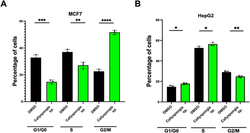 Figure 3 The effect of C. siphonella extract on cell-cycle stages of MCF-7 and HepG-2 cells using flow cytometric analysis. Graphical presentation represents the percentage of (A) MCF-7 cells and (B) HepG-2 cells. Data are represented as mean ± SD. *Significant difference at p < 0.05. **Significant difference at p < 0.01. ***Significant difference at p < 0.001. ****Significant difference at p < 0.0001.