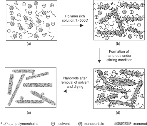 Figure 5. Schematic model for the growth of PbS nanorods in polymer (a): initial nucleation of PbS fine particles, (b)–(d): subsequent preferential growth of nanorods under suitable hydrothermal conditions and polymer rich solution.