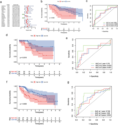 Figure 4 Construction and validation of the prognosis model. (a) Forest plot of univariable Cox regression results for the 18 DEGs. Red represents HR>1, green represents HR<1. (b and c) Kaplan-Meier survival curves of the high-risk and low-risk groups in the training set. The survival ROC curve of the training set. (d and e) Kaplan-Meier survival curves for the high-risk and low-risk groups in the validation set. The survival ROC curve of the validation set. (f and g) Kaplan-Meier survival curves of the high-risk and low-risk groups in all sets. The survival ROC curve of all sets.