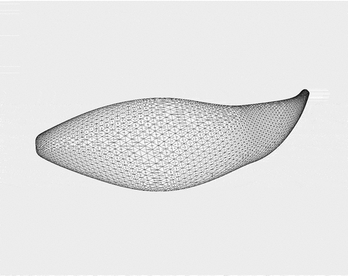 Figure 18. An example of 3D point cloud of sweet potato.