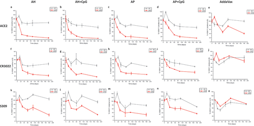 Figure 6. Real-time, accelerated and stressed stability studies of IVX-411 in presence of various adjuvants as measured by in vitro binding assays. Competitive ELISA results with formulated IVX-411 samples as measured by binding to (a–e) ACE2, (f–j) CR0322, and (k–o) S309. Samples were stored at 4° and 25°C and consisted of 2 mcg/mL IVX-411 formulated with either 1X AV, 1.5 mg/mL AH, 1.5 mg/mL AP, 1.5 mg/mL AH +0.3 mg/mL CpG, or 1.5 mg/mL AP +0.3 mg/mL CpG. Data shown are the mean of two samples measured in duplicate (n = 4) with the error bars representing one standard deviation.