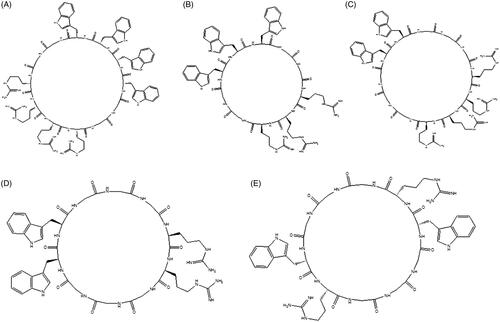 Figure 1. Chemical structures of synthesized cyclic peptides (A = CP I, B = CP II, C = CP III, D = CP IV, E = CP V).