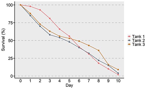 Figure 1. Percent survival of phyllosoma of Thenus unimaculatus infected with Vibrio over a period of 10 days.