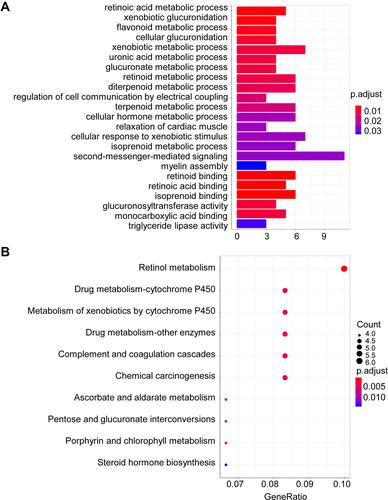 Figure 2 GO and KEGG pathways enrichment based on candidate methylated genes. (A) GO analysis of the differentially methylated regions (DMRs) associated with differentially expressed genes (DEGs) in colon cancer. (B) KEGG analysis of the differentially methylated regions associated with DEGs in colon cancer. The size of the solid circle indicates the number of genes.