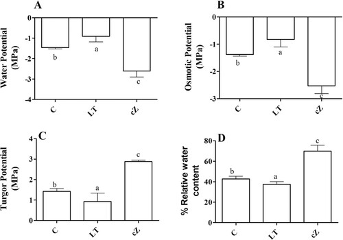 Figure 9. Determination of water potential (A), Osmotic potential (B), Turgor Potential (C), and Relative water content (D) in the plants of Z. mays after been exposed to cZ (5 µM) or and its inhibitor – lovastatin – LT (5 µM). Data are mean from 3 independent experiments with standard error bars. Bars labeled with different letters are significantly different (Duncan test; p < 0.05). Experiment was performed at least times in triplicates for validation.