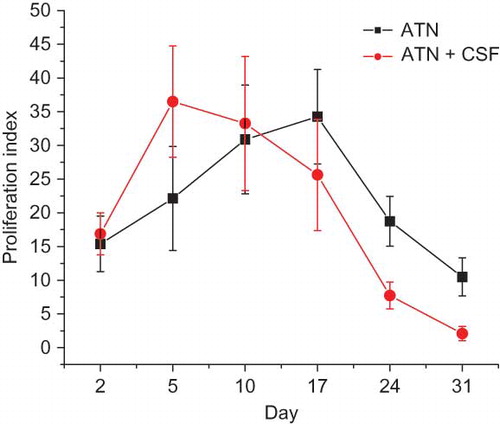 Figure 4. The changes of PI in ATN and ATN+CSF group at different time points.Note: PI, proliferation index; ATN, acute tubular necrosis; CSF, colony-stimulating factor.