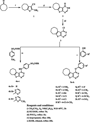 Figure 3. The synthetic pathway and reagents for the preparation of the target compounds 4a–c and 5a–k.
