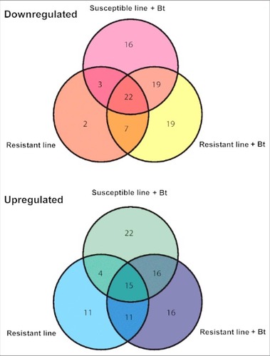 Figure 7. Venn diagram showing the differential expression of miRNAs in the midgut of infected and uninfected Bt-resistant or susceptible G. mellonella larvae. The miRNA sequences were obtained from miRBase v21 and their expression profiles were determined by microarray analysis. The fold differences of downregulated and upregulated miRNAs are shown relative to uninfected susceptible G. mellonella larvae (p < 0.01)