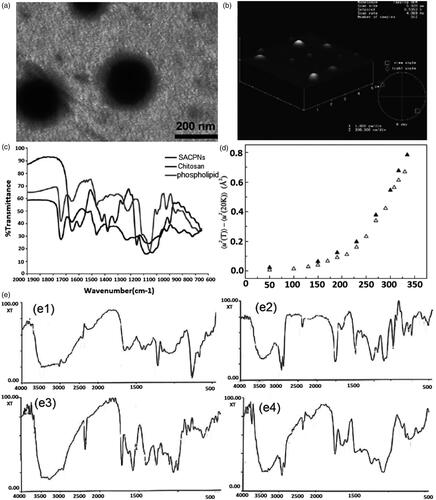 Figure 4. (a) Transmission electron micrographs of SACPNs. (b) Atomic force microscopy images of SACPNs. (c) FTIR spectra of SACPNs and of the two components separately. (d) Comparison of the mean square hydrogen fluctuation differences of a dry SACPNs (open triangles) and a pure phospholipid one (closed triangles). (e) FTIR spectra of (e1) chitosan, (e2) phospholipid, (e3) natamycin and (e4) natamycin-loaded SACPNs. (a, b, c) Reproduced with permission (Sonvico et al., Citation2006). Copyright 2006, Elsevier. (d) Reproduced with permission (Sonvico et al., Citation2006). Copyright 2006, Elsevier. (e) Reproduced with permission (Bhatta et al., Citation2012). Copyright 2012, Elsevier.