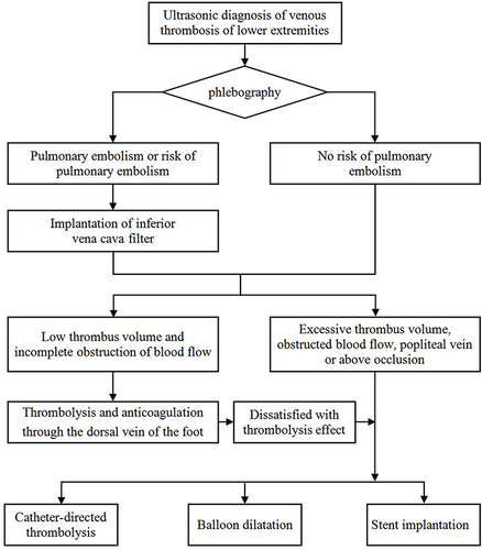 Figure 1 Flow chart of treatment for lower limb venous thrombosis.