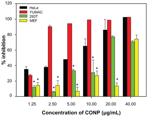 Figure 5 Differential cytotoxicity of CONPs on tumor cell (melanoma cells YUMAC), paired control tumor cell (HeLa), and normal cells (293T and MEF) detected by MTT assay.Notes: HeLa cells and melanoma cells were more sensitive, and the two normal cell lines (293T and MEF cells) were tolerant, especially at low concentrations. Cells were treated with the CONPs for 48 hours (*P < 0.005, n = 3).Abbreviations: CONPs, cuprous oxide nanoparticles; MEF, mouse embryonic fibroblast.