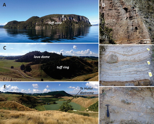 Figure 13. A – View of the exposed, more than 100 m thick pyroclastic succession of Motuoapa Peninsula from Lake Taupo; B – Coarse PDC and fall-dominated sequence of the middle upper succession of Motuoapa pyroclastic deposits; C – Larger dome of Puketerata Volcanic Complex, which surrounded by an atypical steep-sided tuff ring; D – Wet surge-dominated cohesive layers with a bomb sag of large rhyolitic clast and thin better sorted shower-bedded layers at the base of the Puketerata sequence; E – Chain of maar craters relating to the NE section of the Puketerata fissure eruption. The arrow indicates the location of the Te Hukui diatreme (Figure 3B); F – Block-and-ash-flow deposits found near the top of the western side of the ejecta ring that surrounds the larger dome.