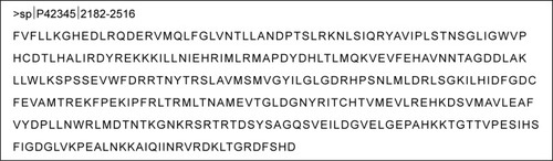 Figure 2 Amino acid sequence of mTOR catalytic domain.