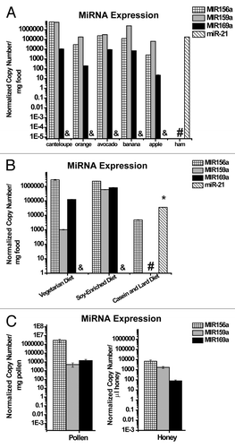 Figure 1. Substantial levels of miRNAs in oral diets consumed by humans, mice, and honey bees. (A) MiRNAs conserved in the plant kingdom were present in substantial quantity in ripened fruits, while miR-21, a conserved miRNA in the animal kingdom, was present in a common dietary source of meat (ham). & denotes that miR-21 was not detectable in fruit products, and this absence of signal was significantly different (p < 0.05) than copy number of MIR156a, MIR159a or MIR169a in a given diet, based on ANOVA and post-hoc testing. # denotes that plant miRNAs were not detectable in ham, and this absence of signal was significantly different (p < 0.05) than copy number of miR-21. (B) Conserved plant miRNAs were expressed at high levels in a custom vegetarian diet and a custom diet with soy, while miR-21 was present in a custom diet carrying animal lard and casein. & denotes that miR-21 was not detectable in the vegetarian or soy diets, and this absence of signal was significantly different (p < 0.05) than copy number of MIR156a, MIR159a or MIR169a in a given diet. # denotes that MIR-159a and MIR169a were not detectable in the casein and lard diet, and * denotes that copy number of miR-21 was significantly different (p < 0.05) than copy number of MIR156a, MIR159a and MIR169a in that diet. (C) Conserved plant miRNAs were present in substantial quantity in pollen, a primary food source for the honey bee, and in honey stored by honey bees for later consumption. In all panels, each food source was sampled and analyzed three independent times (n = 3), and error bars, which are small but present on each column, reflect SEM.