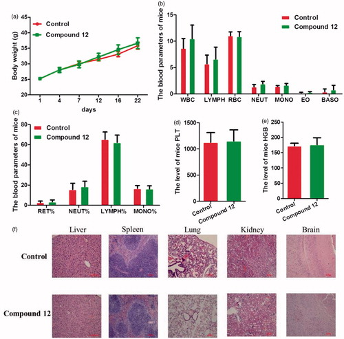 Figure 9. Compound 12 displayed no observable toxicity to Kunming mice. (a) The body weights did not significantly reduced after being treated with 12 compared with vehicle control. (b) The parameters of routine blood test included white blood cell count, lymphocyte count, neutrophil cell count, monocyte cell count, eosinophil cell count, and basophil cell count were not changed apparently after treatment of 12 compared with vehicle control. (c) The blood parameters included the percentage of reticulocyte cell, neutrophil cell, lymphocyte cell, and monocyte cell were not changed significantly after being treated with 12 compared with vehicle control. (d) The level of platelet was not changed significantly after treatment of 12 compared with vehicle control. (e) The level of haemoglobin was not changed clearly compared with vehicle control. (f) The representative pictures of haematoxylin and eosin (H&E) staining of the liver, spleen, lung, kidney, and brain.