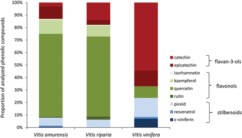 Figure 4. Proportion of phenolic compounds analyzed in grapevines Vitis amurensis, V. riparia and V. vinifera.