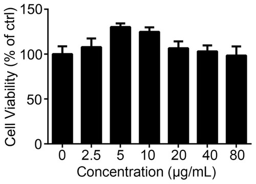 Figure 3 Effects of InP/ZnS QDs on the cell viability of the BMMs. After BMMs were incubated with 2.5, 5, 10, 20, 40, and 80 μg/mL InP/ZnS QDs for 24 h. Cell viability was detected using an MTS assay. Results are representative of three independent experiments.Abbreviations: QDs, quantum dots; BMMs, bone marrow-derived macrophages.