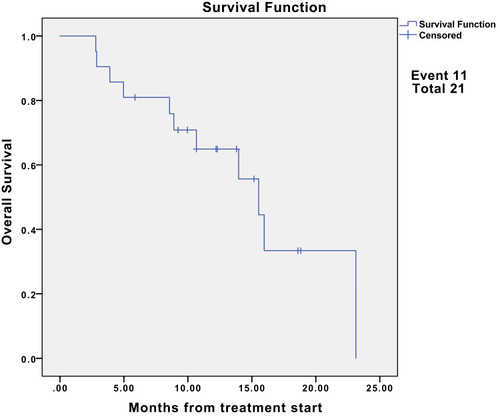 Figure 2 Kaplan–Meier estimates of progression-free survival for all patients.