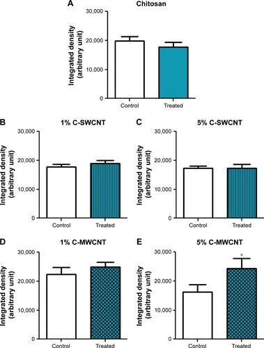 Figure 6 C-MWCNT was the most effective treatment to increase the amount of deposited collagen in the healing wound.Notes: Images for tissue samples stained with Masson’s trichrome stain were digitally analyzed by the “color deconvolution” plugin in ImageJ. (A) Treatment with chitosan; (B) treatment with 1% C-SWCNTs; (C) treatment with 5% C-SWCNTs; (D) treatment with 1% C-MWCNTs; (E) treatment with 5% C-MWCNTs. Values are given as means ± SEM, n=5, triplicates. *P<0.05 compared to the control. Treatment with 5% C-MWCNTs had a significantly greater effect than that of the corresponding internal control. For the other treatment conditions there was no significant difference.Abbreviations: C-SWCNT, chitosan–single-wall carbon nanotube; C-MWCNT, chitosan–multi-wall carbon nanotube.