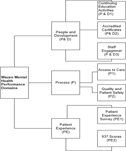 Figure 1 The three hospital performance domains associated with the Wazen program.