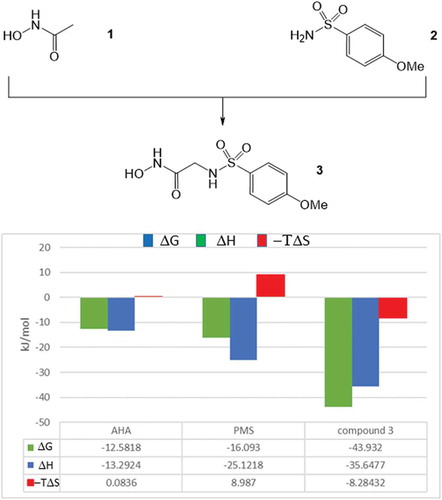 Figure 2. (a) Optimization of MMP12 starting fragments using the fragment linking strategy. (b) Thermodynamic profiles of the starting fragments and the linked compound.