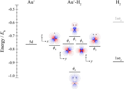 Figure 1. Molecular orbital diagram for Au+–H2. See text for details. The contours are the same for all molecular orbitals shown. For H2, the calculated orbital energy of the 1sσg orbital in the absence of the coulombic field arising from the metal atom is indicated in grey, while the solid line indicates its energy in the presence of the field. The position of the gold nucleus is indicated by a black dot, and that of the hydrogen nuclei by grey dots. Orbitals lie in the yz plane unless indicated by the presence of axes, where these axes are located on the Au+. In the latter cases, one or more of the hydrogen atoms may not be visible.