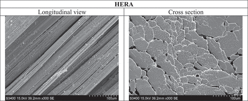 Figure 2. Microphotographs - longitudinal views and cross sections of Hera flax fibre.