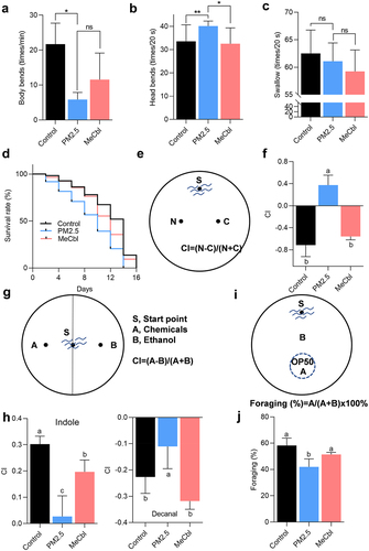 Figure 1. Effects of MeCbl on PM2.5-induced toxicity in C. elegans. (a-c) the impact of MeCbl intervention on body bending times (1 min), head swing times (20 s) and pharyngeal pumping rate (20 s) of worms. *p < .05; **p < .01; ns: not significant by Student’s t-test. (d) lifespan assay on worms with different treatments. (e) chemotaxis-mediated associative learning model; (f) chemotaxis learning behavior after 72 h PM2.5 exposure with or without MeCbl; (g) the schematic diagram for analyzing chemotaxis of C. elegans. (h) chemotaxis behavior of C. elegans after 72 h PM2.5 exposure with or without MeCbl; indole and decanal (dissolved in ethanol) were used for studying the sensitivity of nematodes to chemicals; (i) the schematic diagram for analyzing foraging behavior of C. elegans; (j) foraging behavior after 72 h PM2.5 exposure with or without MeCbl. Values indicated by the bars with different letters are significantly different (p < .05, one-way ANOVA). CI, chemotaxis index.