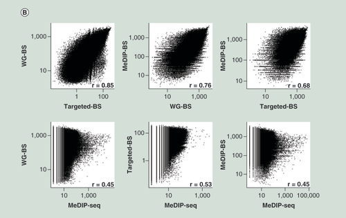 Figure 4.  Comparison of DNA methylation levels among the four different methods.Spearman correlation analysis for L (A) and S (B) samples. The three bisulphite conversion-based methods showed relatively high correlations; however, MeDIP-seq showed very low correlation to the other methods. (C) Concordance with WG-BS. The top 10% most highly methylated bins in the L sample data for each method were compared. MeDIP-BS showed the highest concordance.