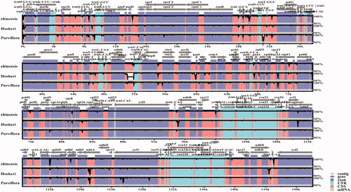 Figure 4. Sequence identity plot comparing four species of subfamily Ixora with I. chinensis (MN850660.1) as the reference annotated genome.