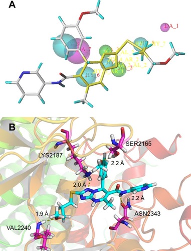 Figure 1 (A) Pharmacophore model based on the reported mTOR inhibitors and the lead compound B170422 screened out by the pharmacophore model; (B) schematic of the binding mode of B170422 with mTOR.