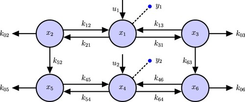 Figure 9. Linear thyroid D&M model.