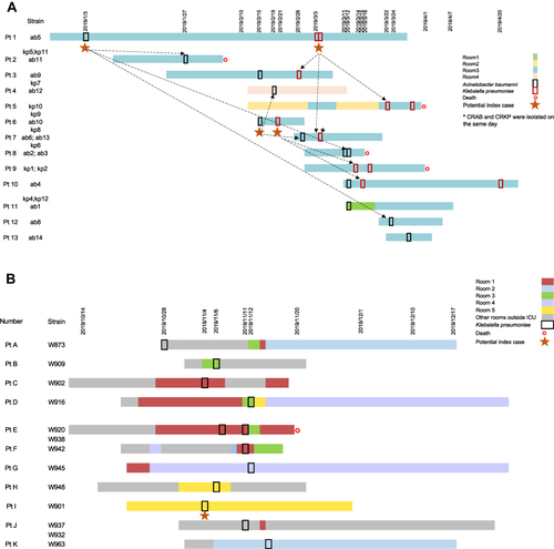 Figure 1 The timeline of patients in ICU-1 and ICU-2. (A) Timeline of 13 patients enrolled in ICU-1. The corresponding strain numbers were showed near patient’s number. Black and red box showed sample data of CRKP and CRAB, respectively. The room stay of Room 1, 2, 3, 4 in ICU-1 was represented by different stripes. Red star meant the death date of patient. (B) Timeline of 11 patients enrolled in ICU-2. The corresponding strain numbers were showed near patient’s number. Black and red box showed sample data of CRKP and CRAB, respectively. The room stay of Room 1, 2, 3, 4 and 5 in ICU-2 was represented by different stripes. Red star meant the death date of patient.