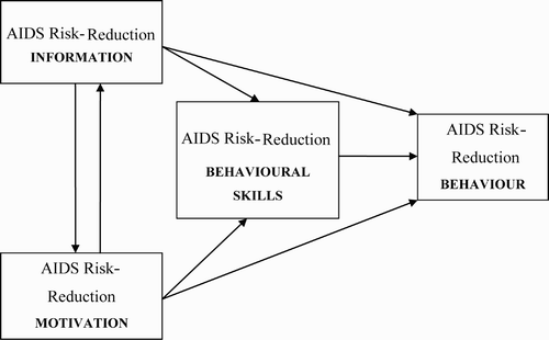 Fig. 1. The IMB model (adapted from Fisher & Fisher Citation1992).