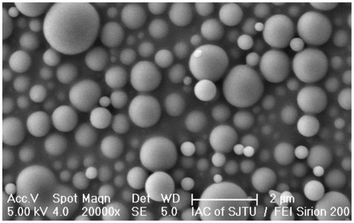 Figure 1 Scanning electron microscopy of the nanoparticles.