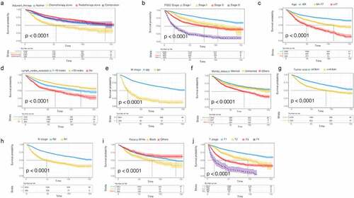 Figure 2. OS survival curves in patients with G3 EACs