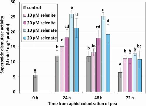 Figure 6. Superoxide dismutase (SOD) activity in the tissues of Acyrthosiphon pisum feeding on Pisum sativum seedlings pre-treated with sodium selenite and sodium selenite. Statistical analyses – three-way ANOVA, Duncan’s test. Different letters mean statistical differences at p < 0.05 level