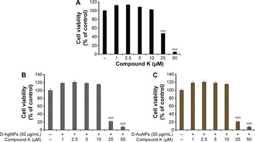 Figure 8 Synergistic effect of Compound K and D-NPs.Notes: Cytotoxicity of CK on A549 human lung cancer cells after 48 hours of treatment (A). Synergistic effect of D-AgNPs (B) and D-AuNPs (C) combined with CK in a dose-dependent manner after 48 hours of treatment in A549 human lung cancer cells. Dose-dependent response. Error bars represent the standard deviation (n=3). ***P<0.001 versus control (untreated group). The statistical significance of differences between values was evaluated by one-way ANOVA. − indicates the absence of D-AgNPS or cmpound K and + indicates the presence of D-AgNPS or compound K in the culture medium.Abbreviations: CK, compound K; D-AgNPs, Dendropanax silver nanoparticles; D-AuNPs, Dendropanax gold nanoparticles.
