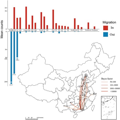 Figure 3. The bar chart shows the input (in) and output (out) of CRF55_01B by regions and provinces. The map shows the provinces where CRF55_01B is most heavily propagated in the BSSVS analysis. The transmission relationships of provinces between BF ≥ 50 and posterior probability ≥ 0.8 are shown in the figure. Mean counts are the average counts from A to B calculated by the MCC trees. South China has very little inputs in the bar, but GD and SZ have a lot. This is because south China mean counts from other areas. GD and SZ import more because they spread more to each other.