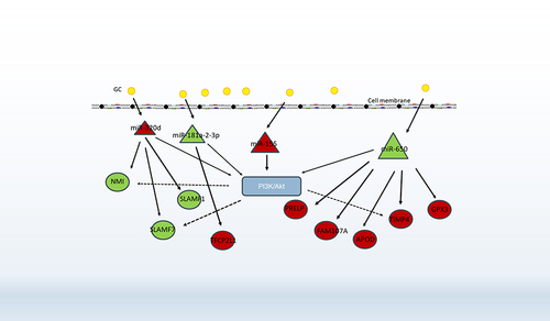 Figure 11 Key genes and miRNA-mRNA networks associated with glucocorticoids treatment in COPD.